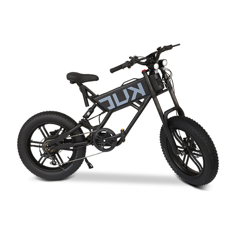 KUGOO T01 Electric Bicycle (E-Bike)