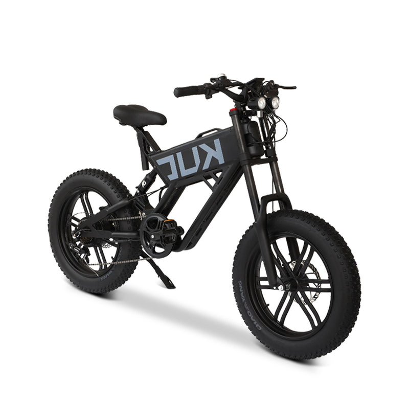 KUGOO T01 Electric Bicycle (E-Bike)