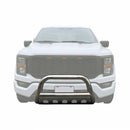3" Bull Bar for 2004-24 Ford F150 & 2003-17 Ford Expedition