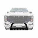 3" Bull Bar for 2004-24 Ford F150 & 2003-17 Ford Expedition